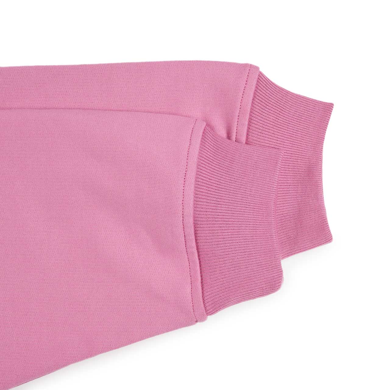 rassvet logo hoodie (pink) - a.plus