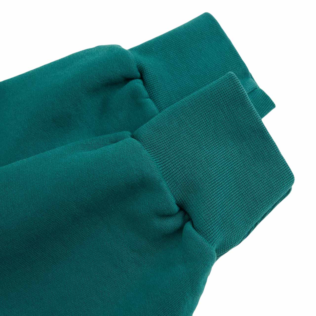 aries mini problemo sweatshirt (green) - a.plus