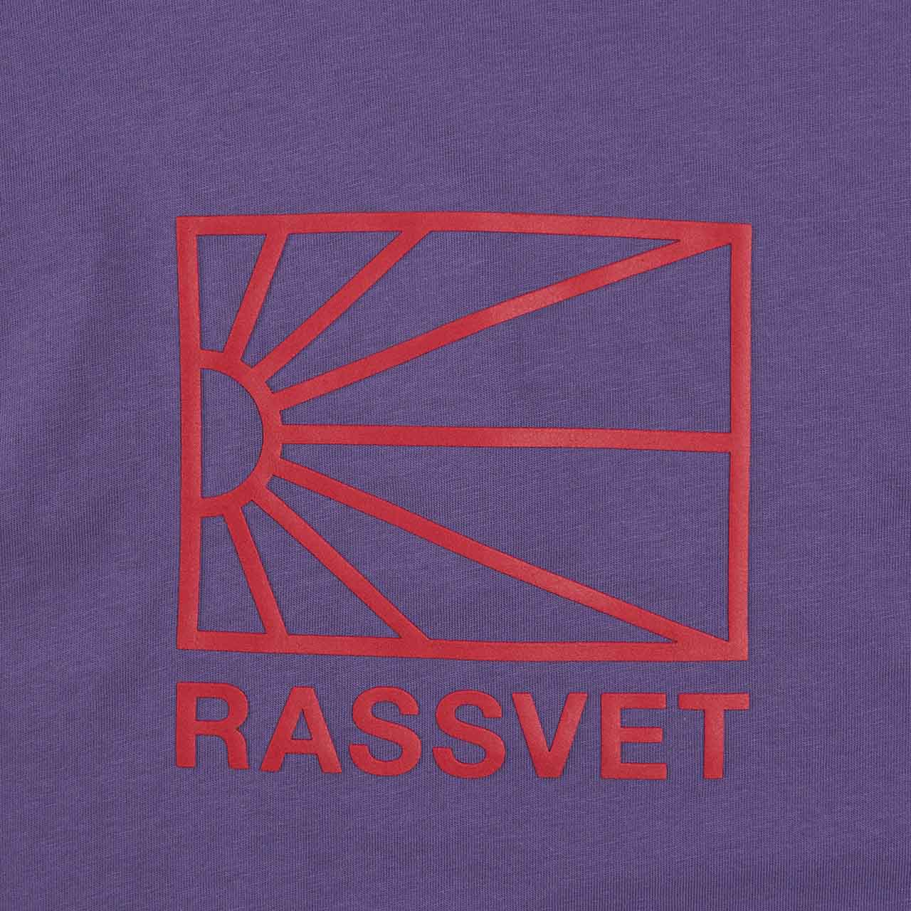 rassvet big logo t-shirt (purple) - a.plus