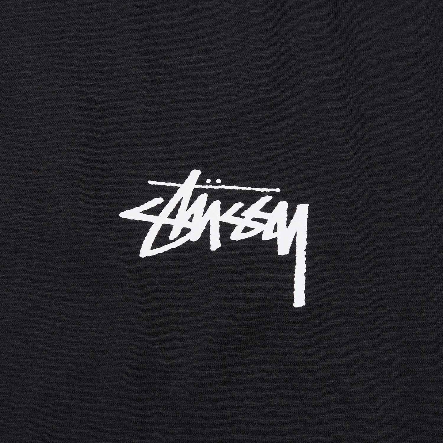 stüssy classroom tee (black) - a.plus