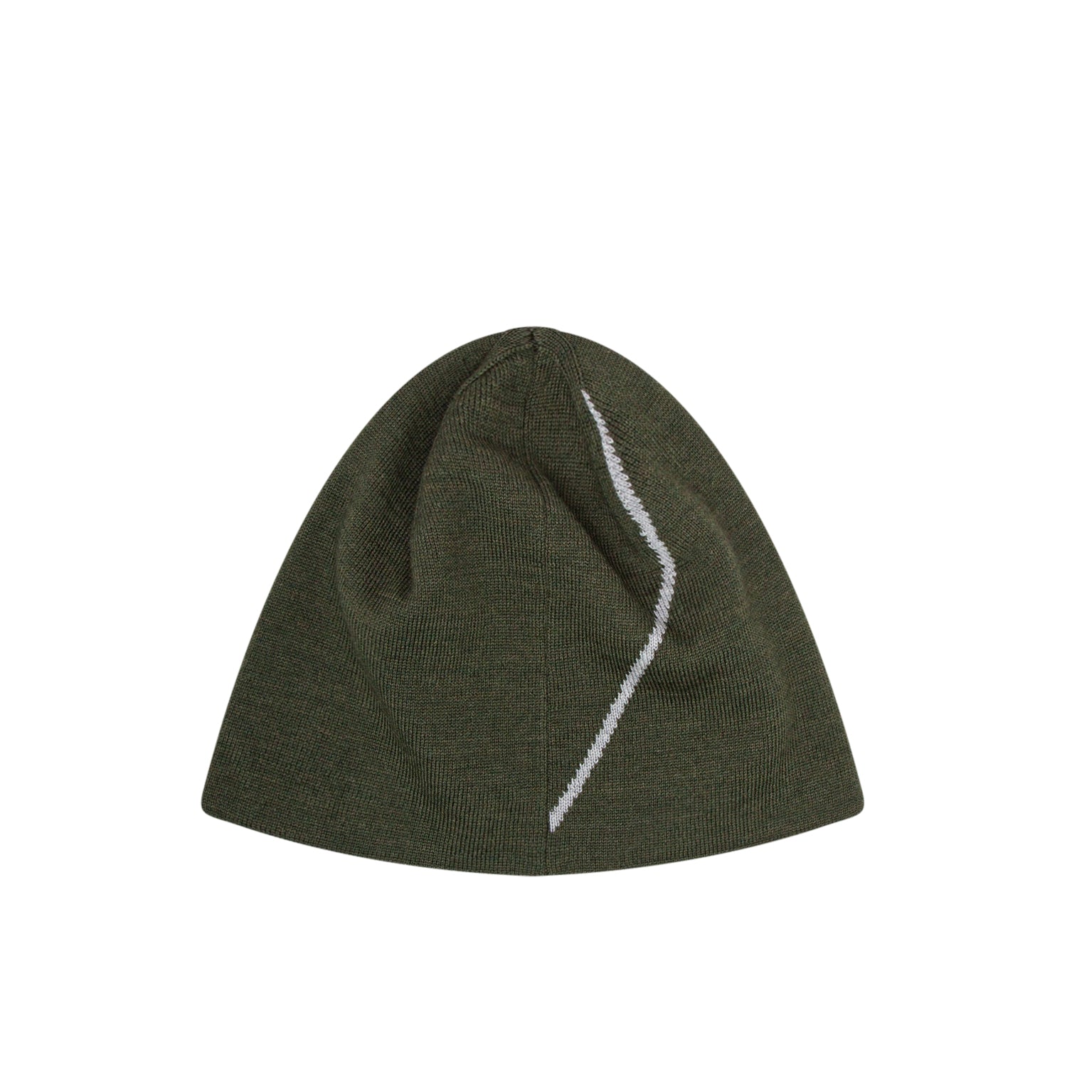 roa beanie logo (dark green) - a.plus