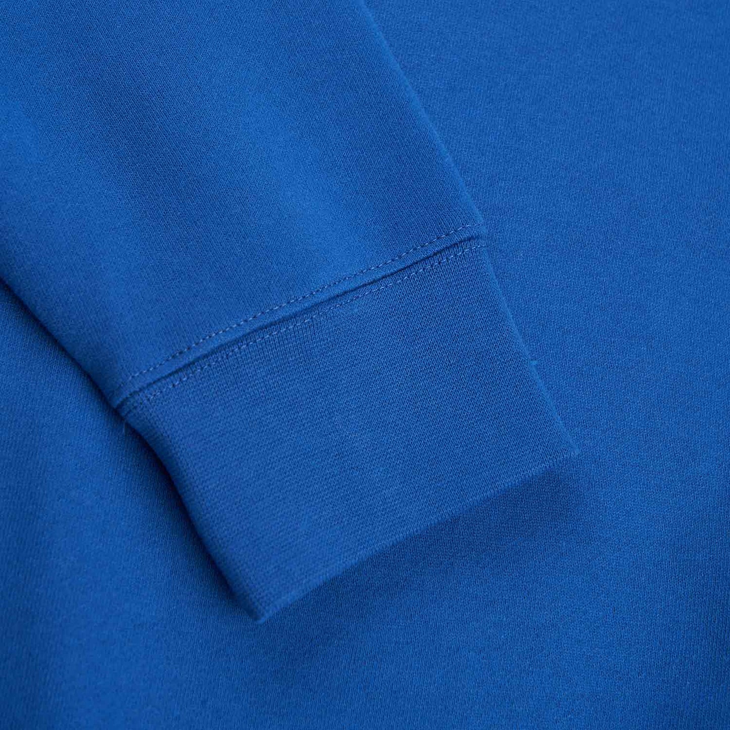 sci-fi fantasy pegasus crewneck (blue) - a.plus