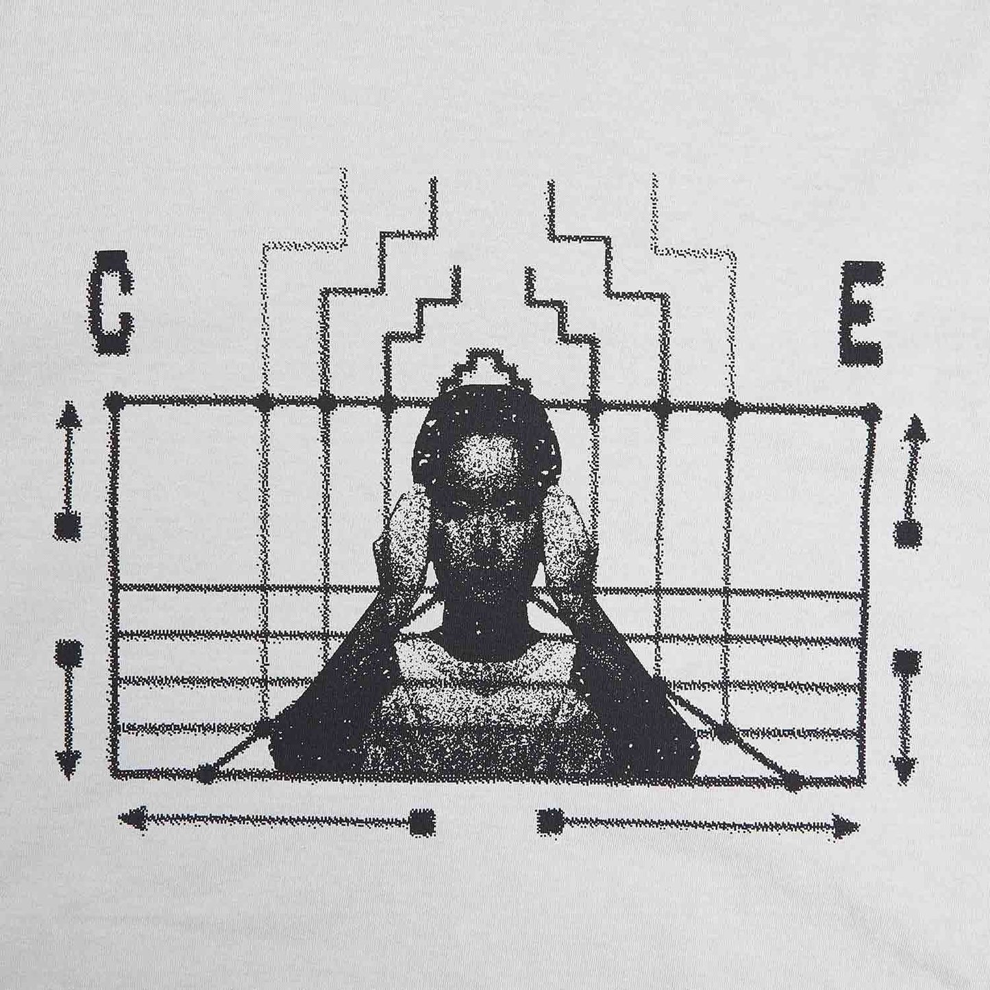 cav empt overdye cause and effect t-shirt (grey)