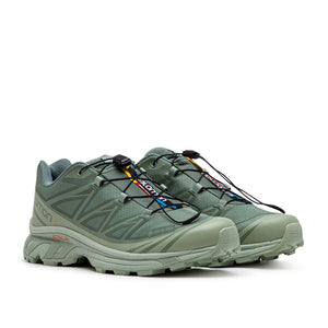 salomon xt-6 gtx (desert sage / lily pad / laurel wreath)