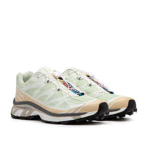 salomon xt-6 (aloe wash / haselnuss / feder grau)