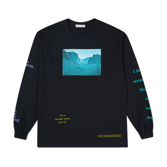 flagstuff "deranged" l/s t-shirt (black) - 20ss-fs-53 - a.plus - Image - 1