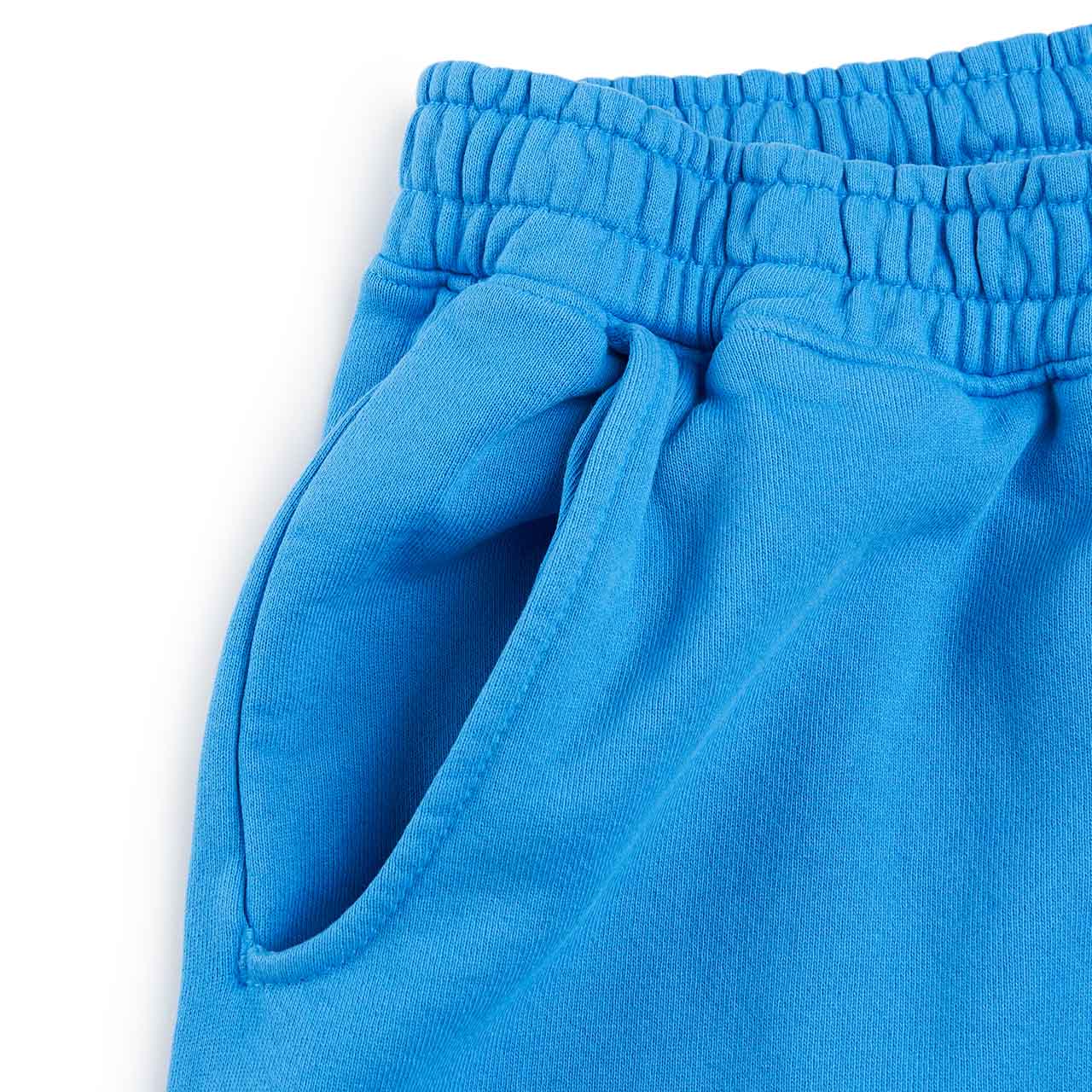 bianca chandôn lover 10th anniversary sweatpants (blue)