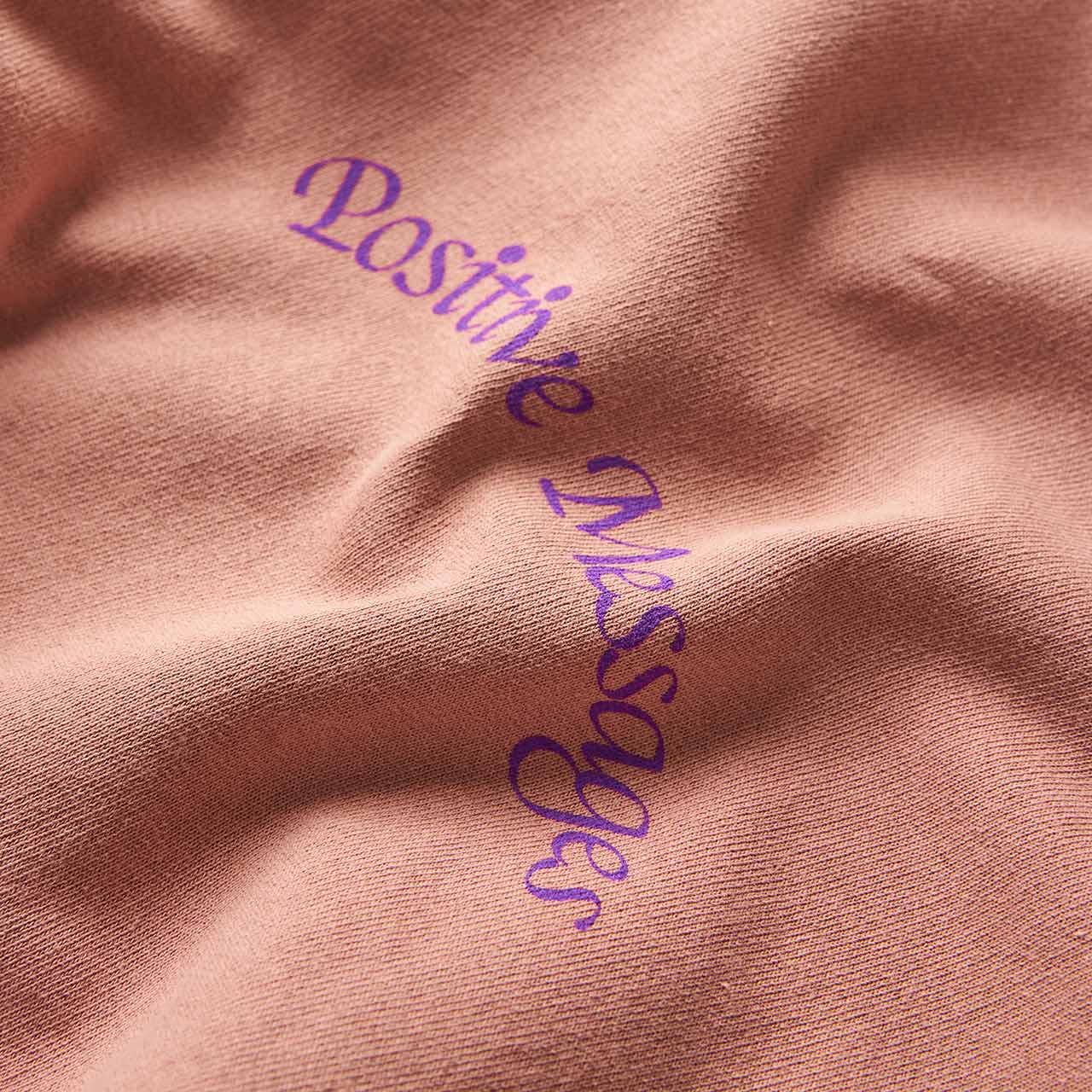 perks and mini perks and mini poz mez amplification hooded sweatshirt (mushroom)