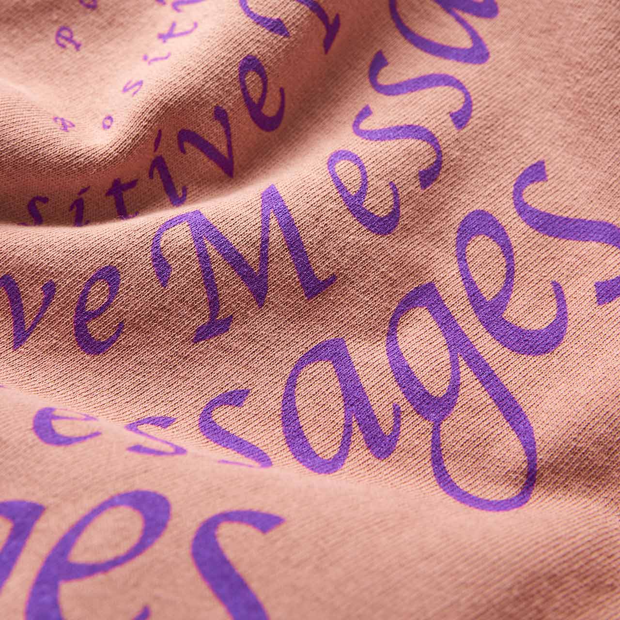 perks and mini perks and mini poz mez amplification hooded sweatshirt (mushroom)