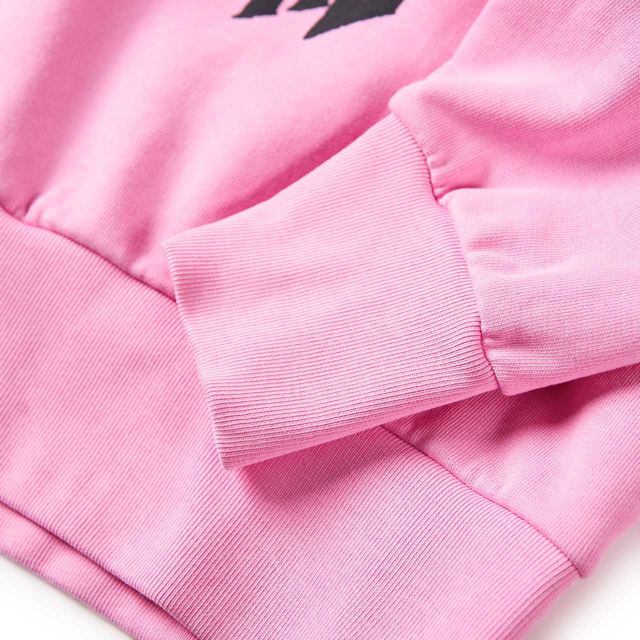 aries aries no future hoodie (pink)