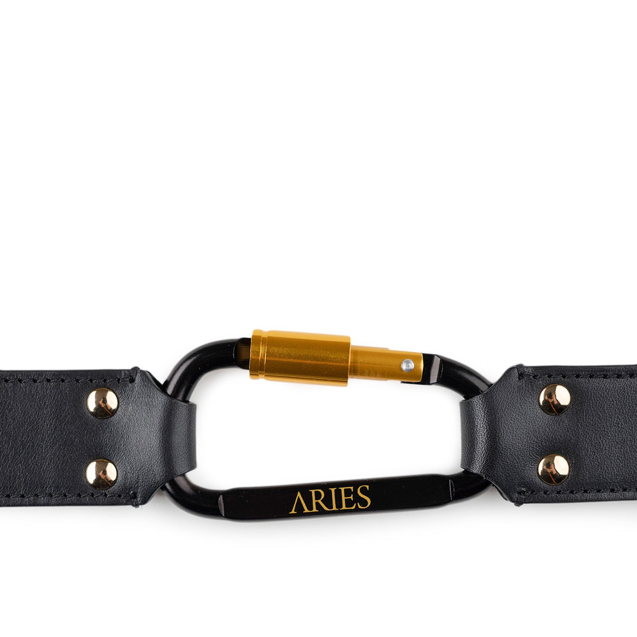 aries aries bobby belt (black)