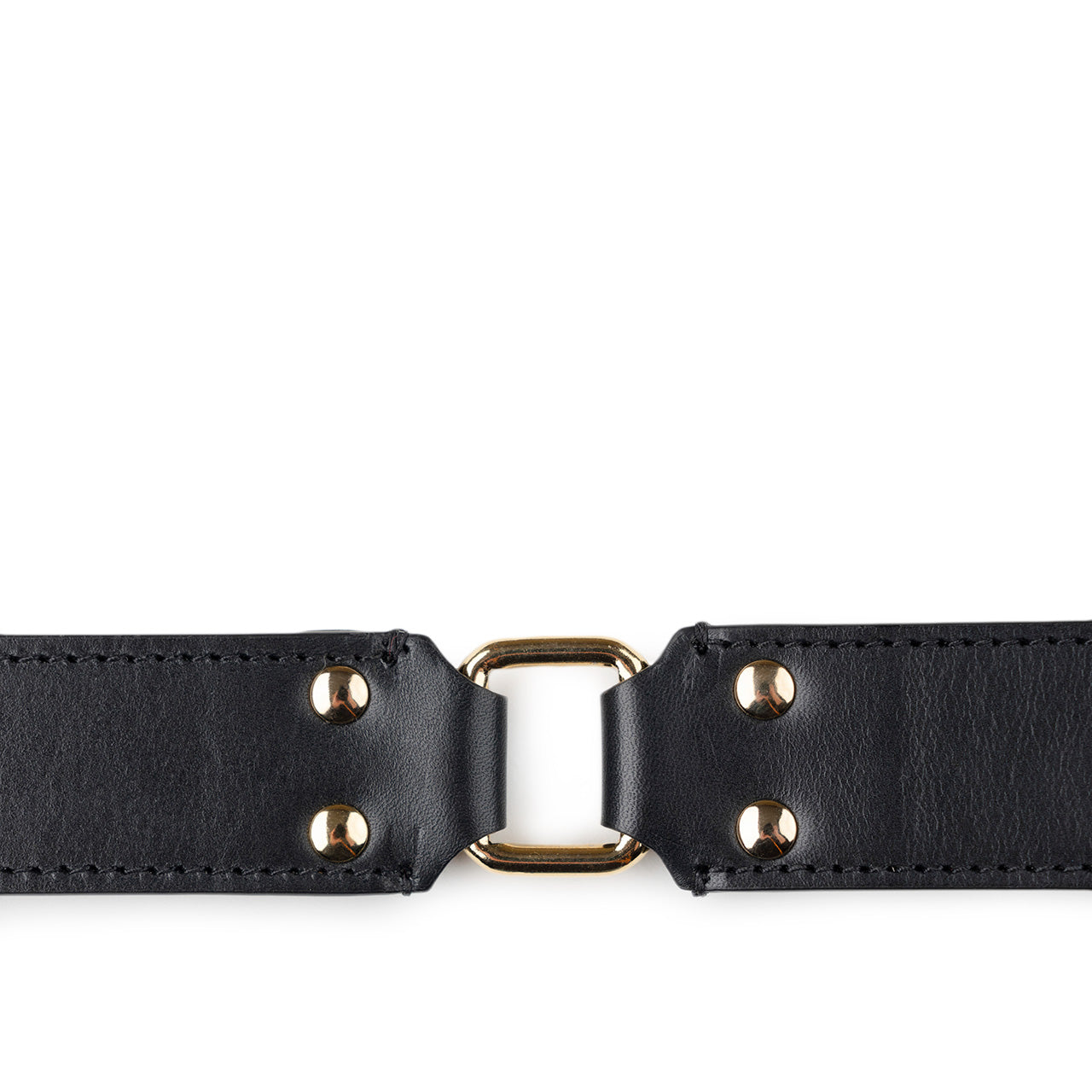 aries aries bobby belt (black)