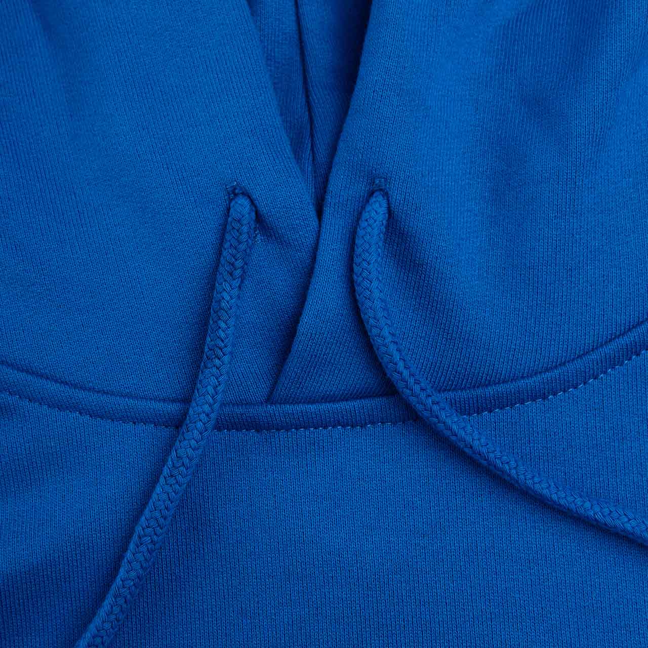 rassvet big logo hoodie (blue) - a.plus