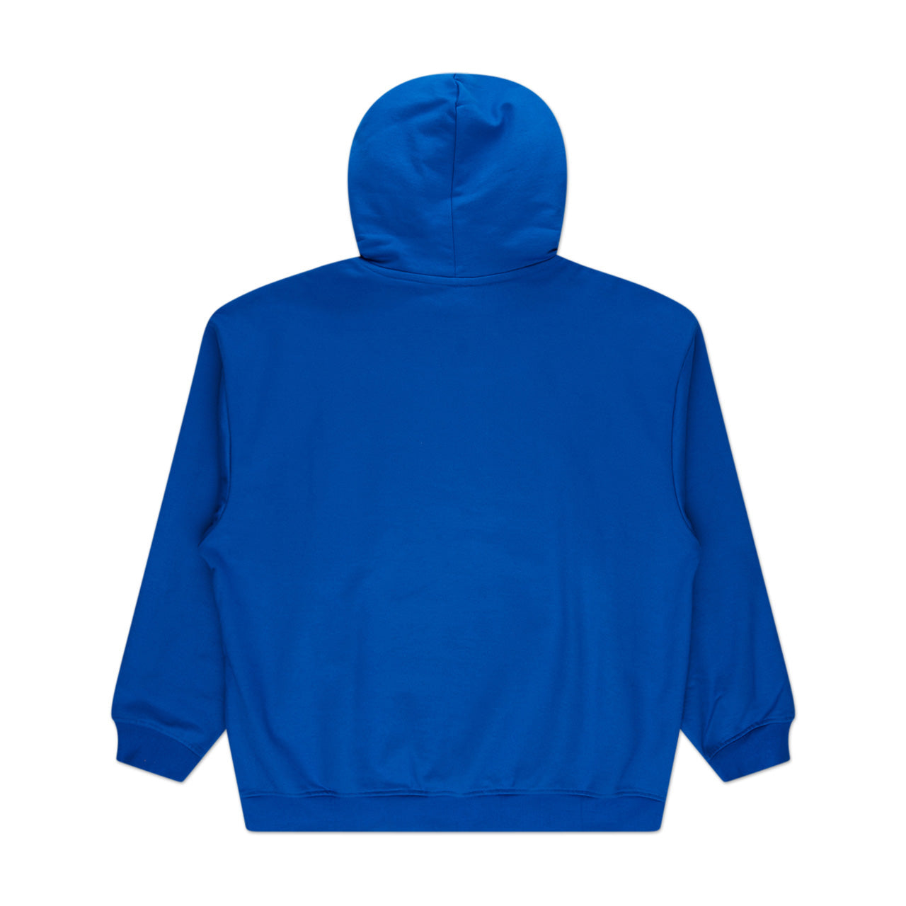 rassvet big logo hoodie (blue) - a.plus