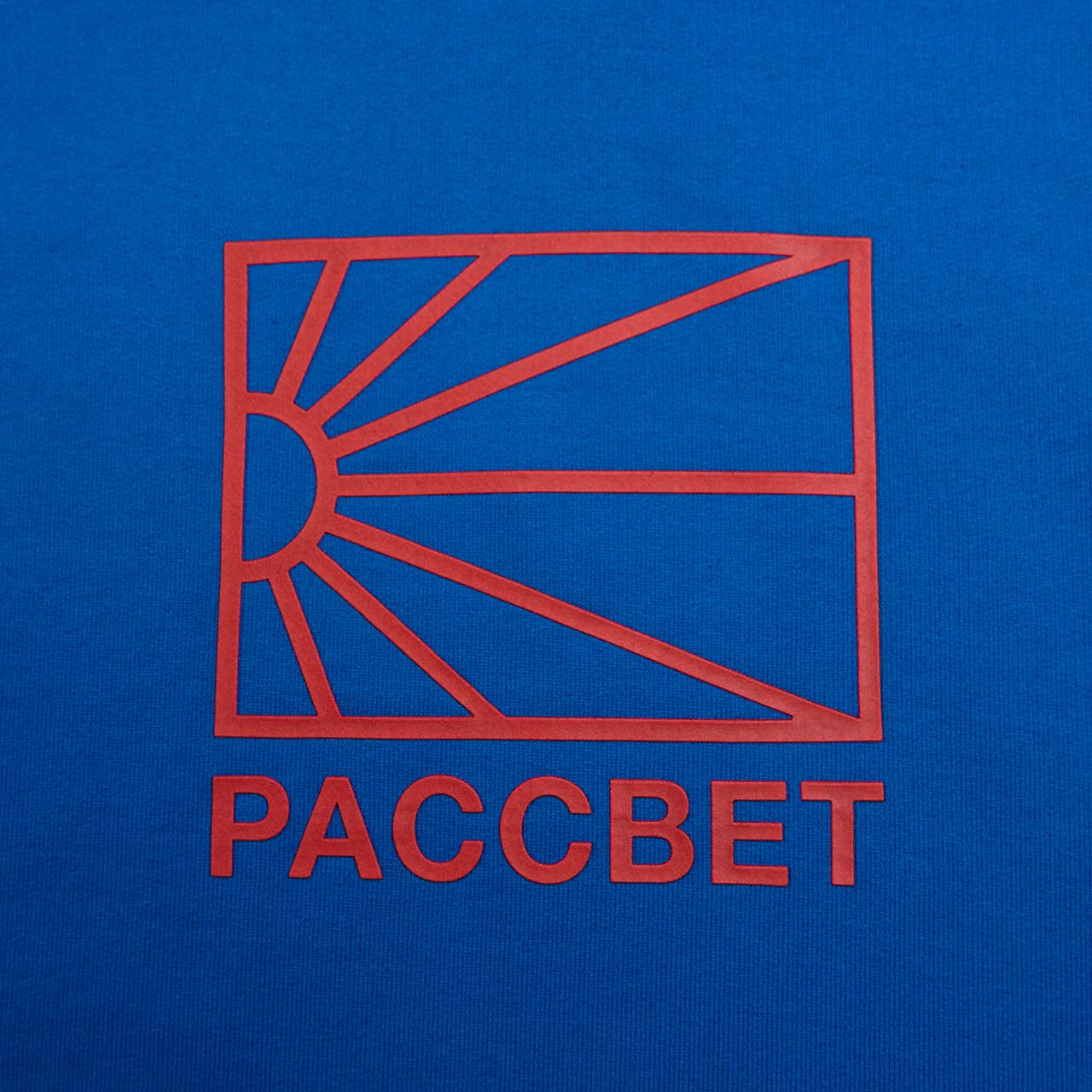 rassvet big logo hoodie (blue) - a.plus