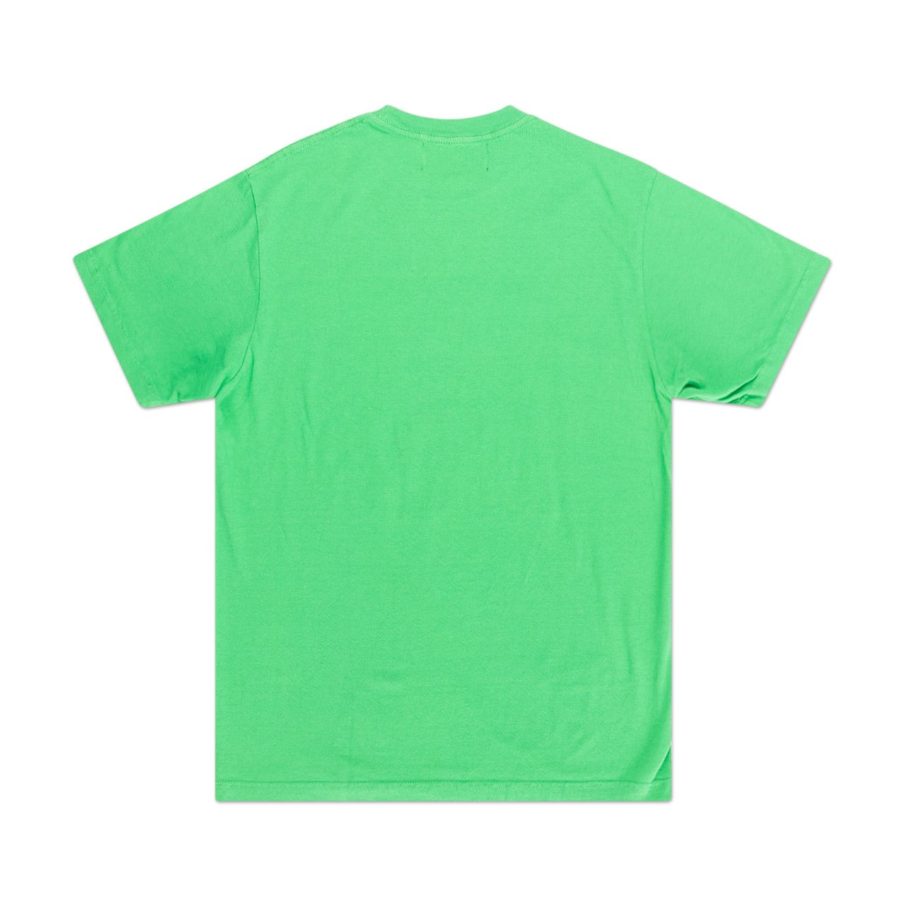 bianca chandôn bianca chandôn foolish things t-shirt (green)