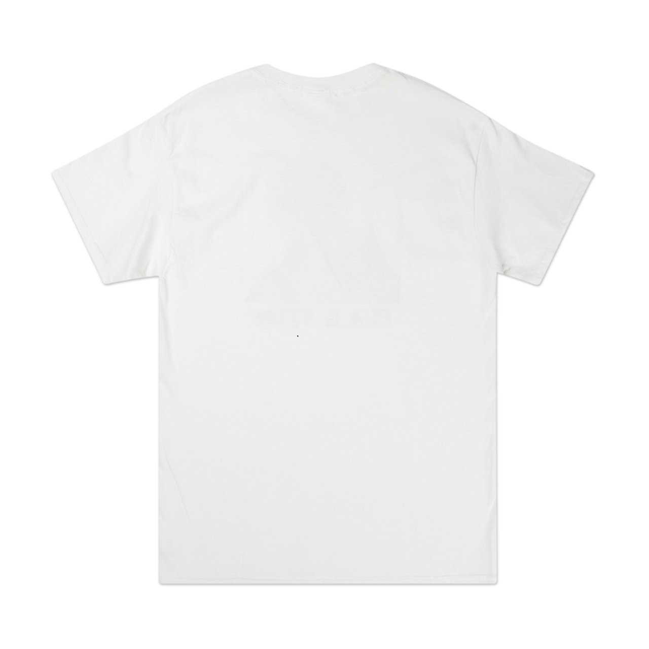 flagstuff "wish" t-shirt (white) - 19aw-fs-55 - a.plus - Image - 2