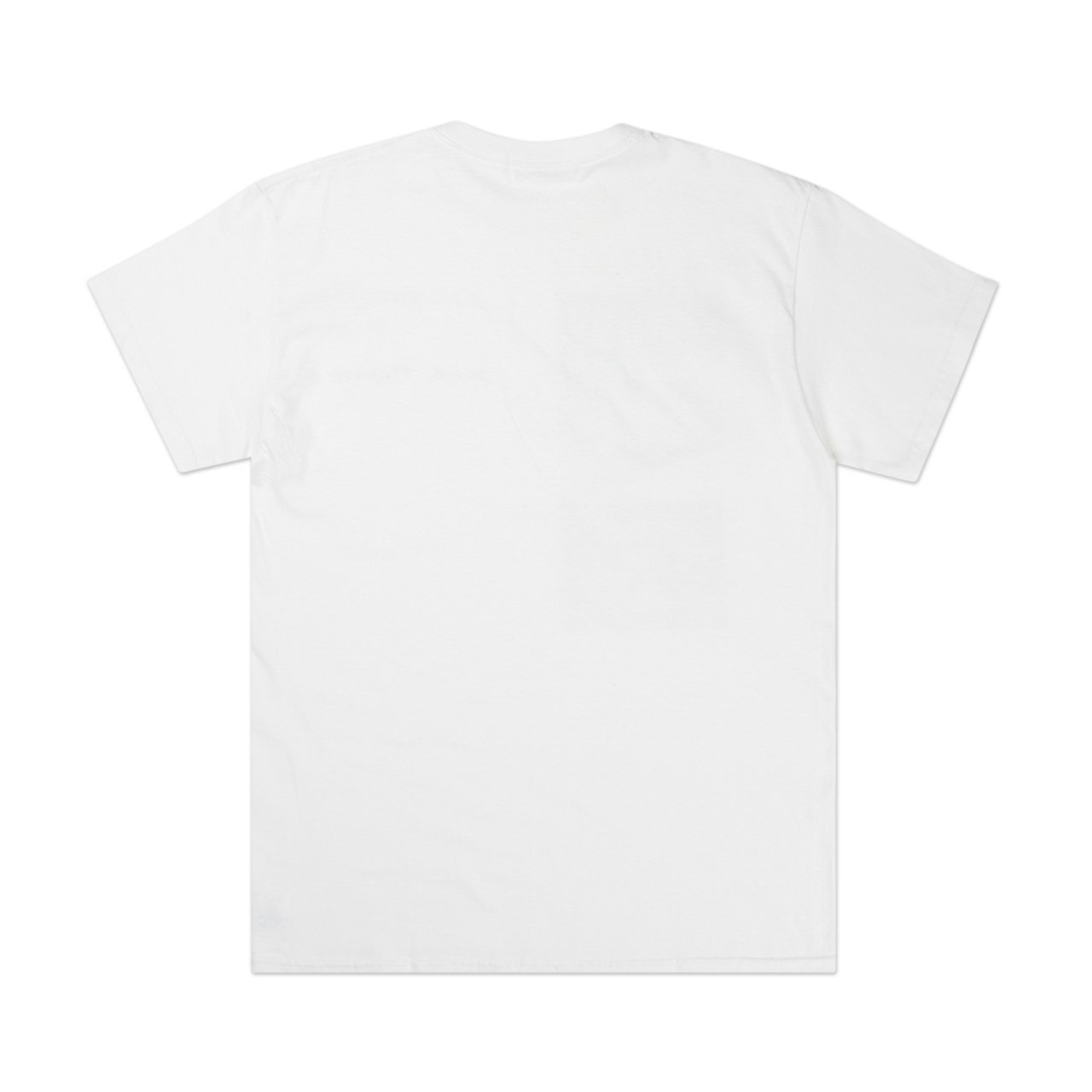 flagstuff x larry clark t-shirt (white) 19AW-FSXLC-06-wht - a.plus